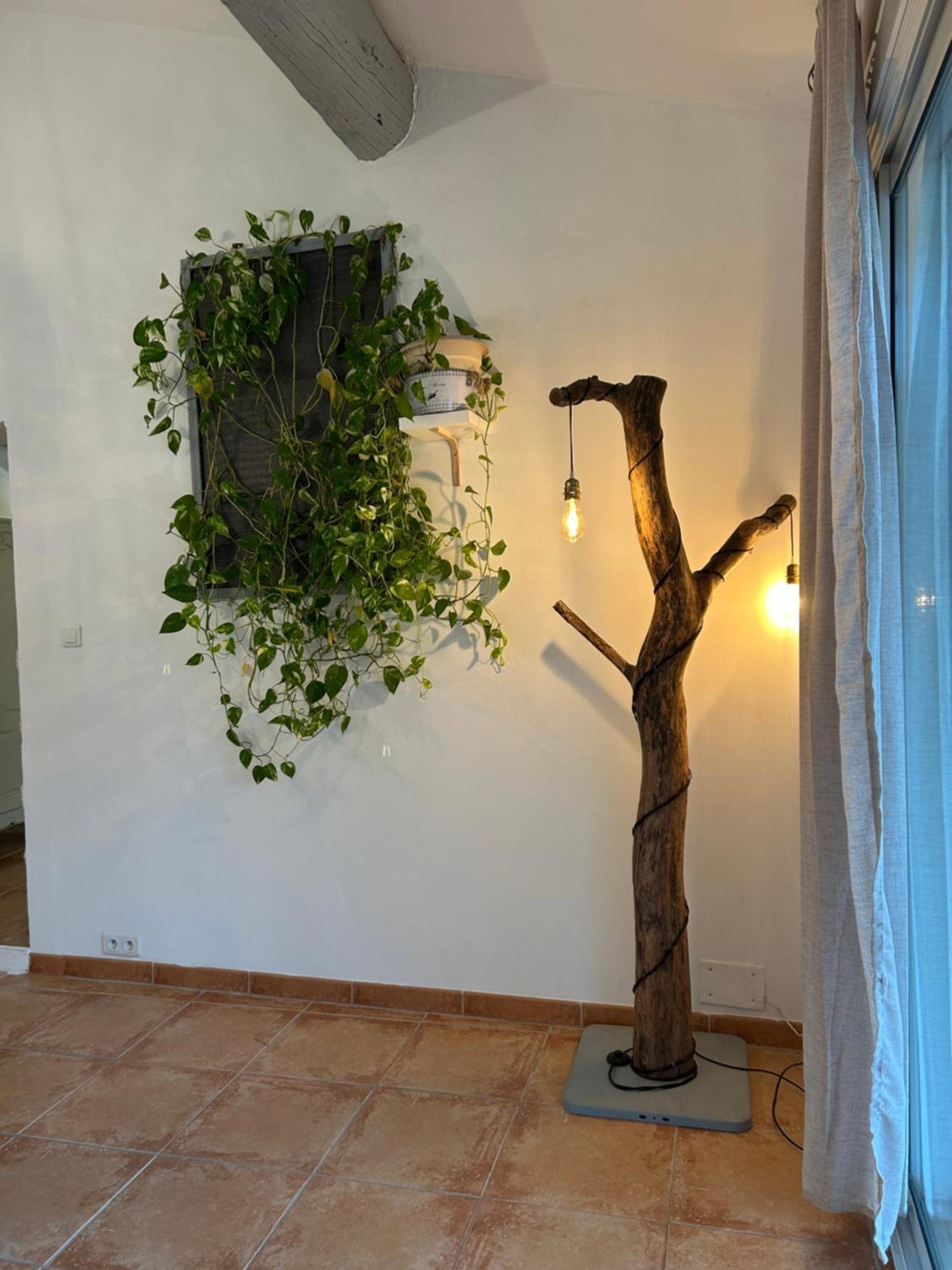 Le Mazet Des Joncs En Provence Villa Saint-Pierre-de-Vassols Kültér fotó