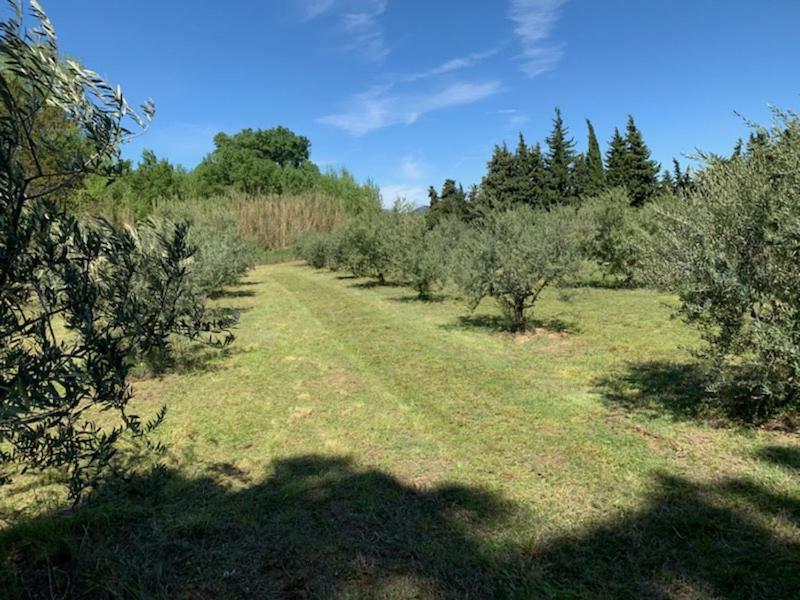 Le Mazet Des Joncs En Provence Villa Saint-Pierre-de-Vassols Kültér fotó