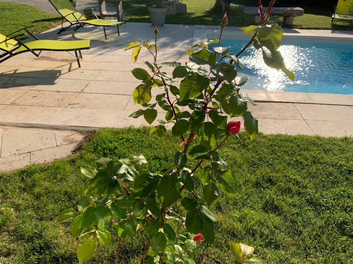 Le Mazet Des Joncs En Provence Villa Saint-Pierre-de-Vassols Kültér fotó